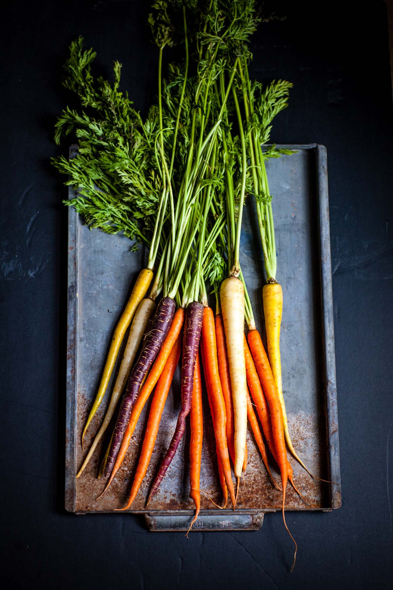 frisch geerntete Karotten mit Karottengrün auf einem alten Backblech liegend