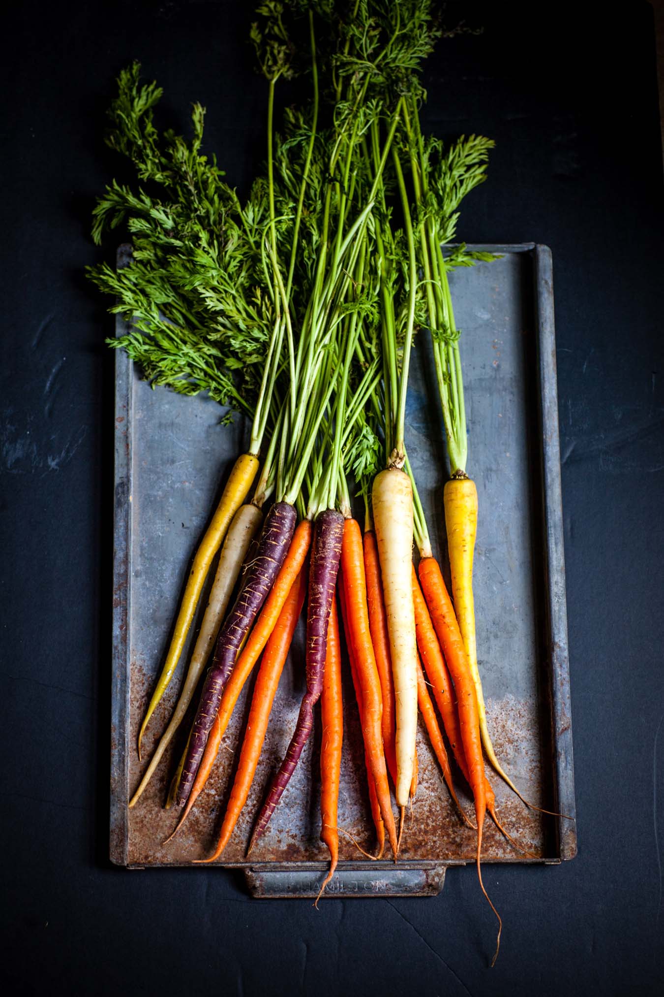 freshly harvested carrots with their green topps laying on an old baking sheet