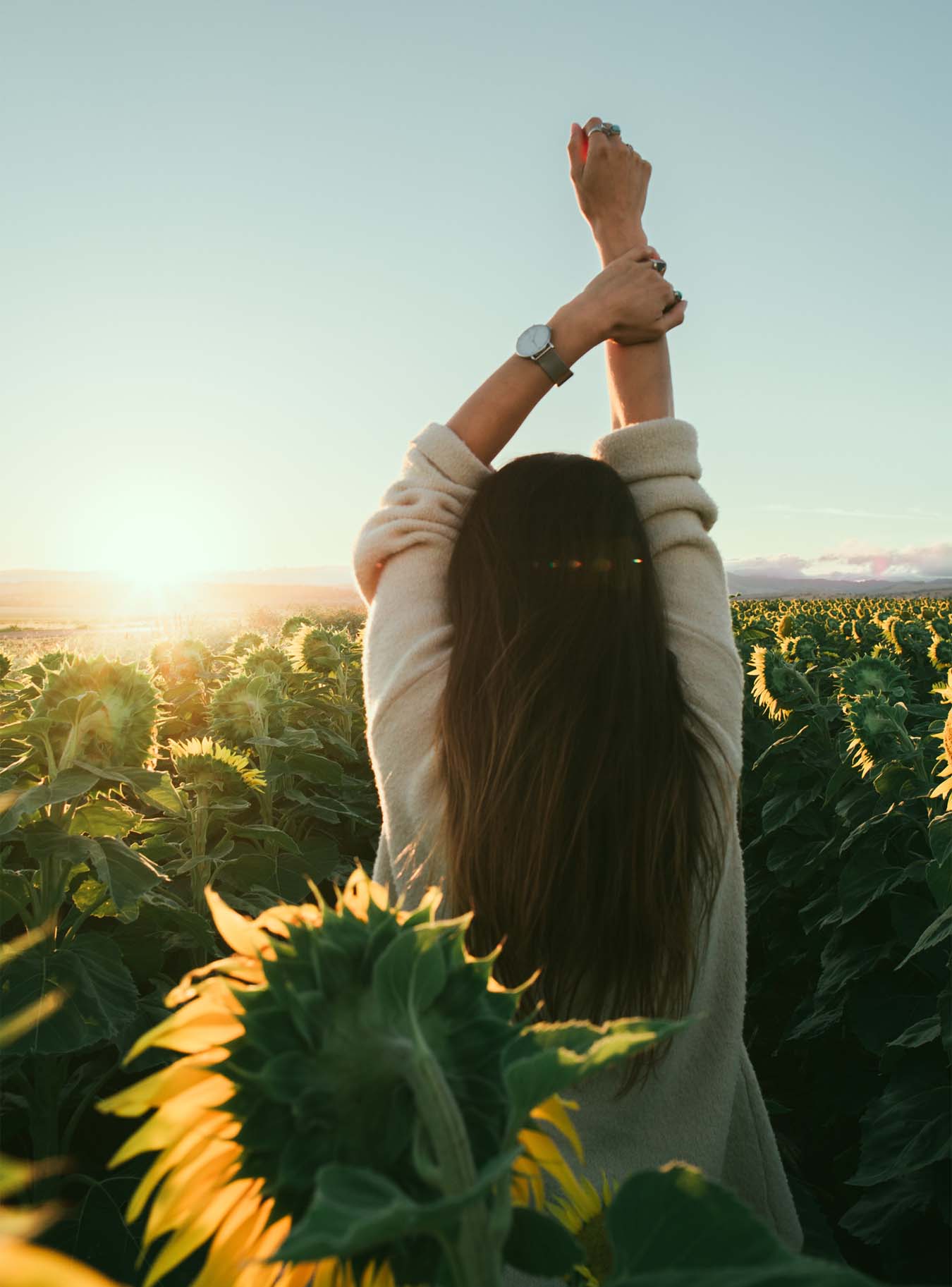 A young woman stands with her back to us in a sunflower field, raised her arms and enjoys the sun.