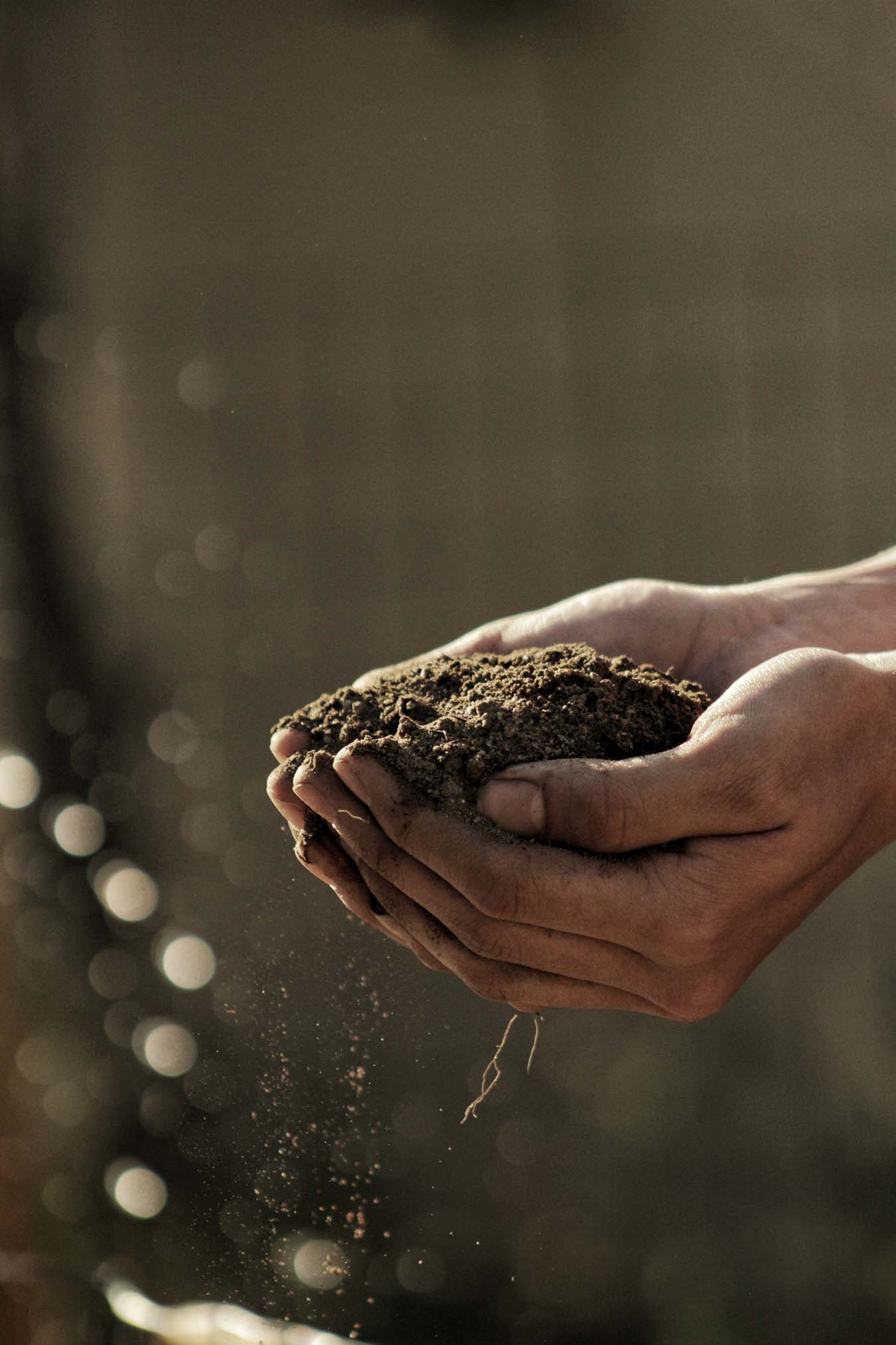 hands folded to a bowl holding earth