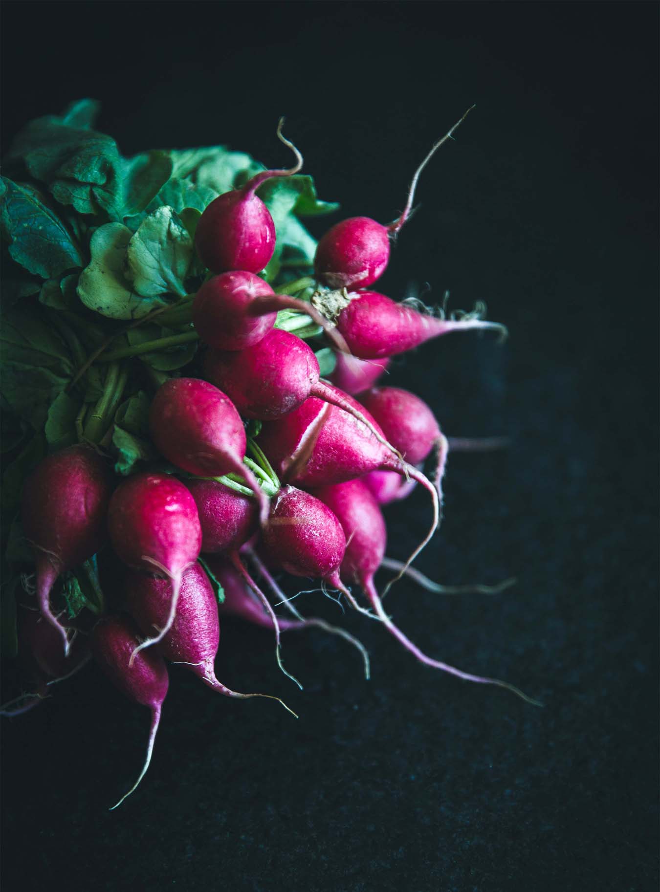Bunch of radishes on a dark plate atmospheric photograped