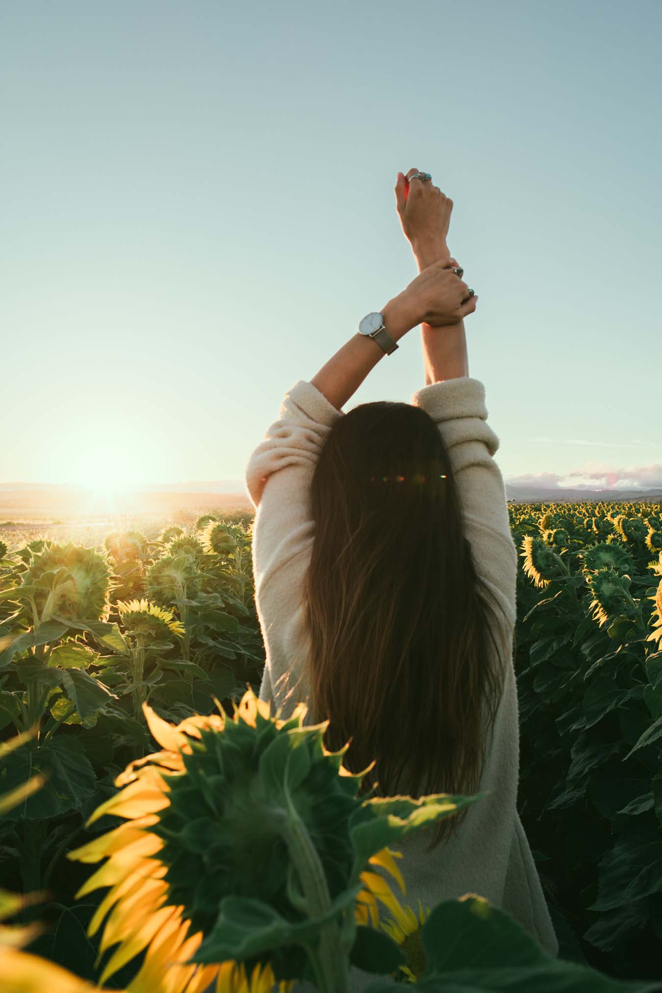 A young woman stands with her back to us in a sunflower field, raised her arms and enjoys the sun.