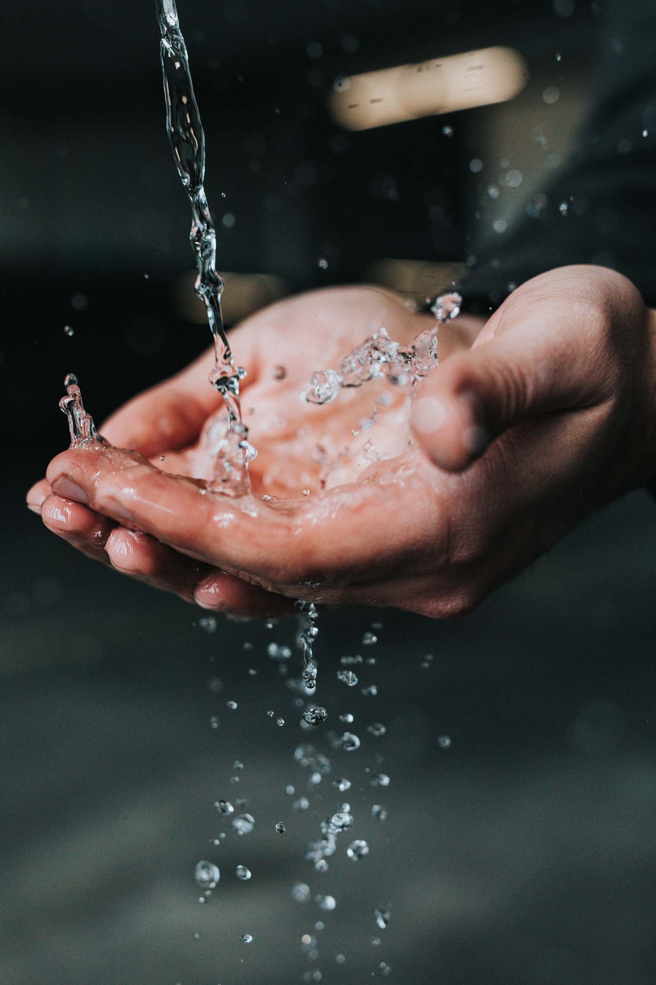 Two hands are shaped into a bowl and collect fresh water.