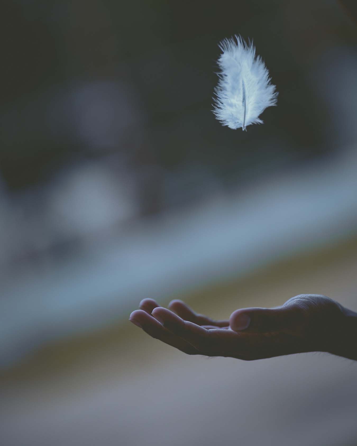 A feather glides in the air and a hand waits for it to fall.