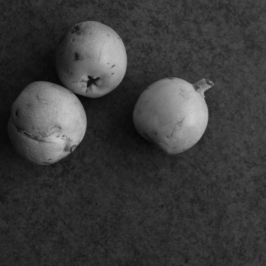 three orange medlars on a dark plate