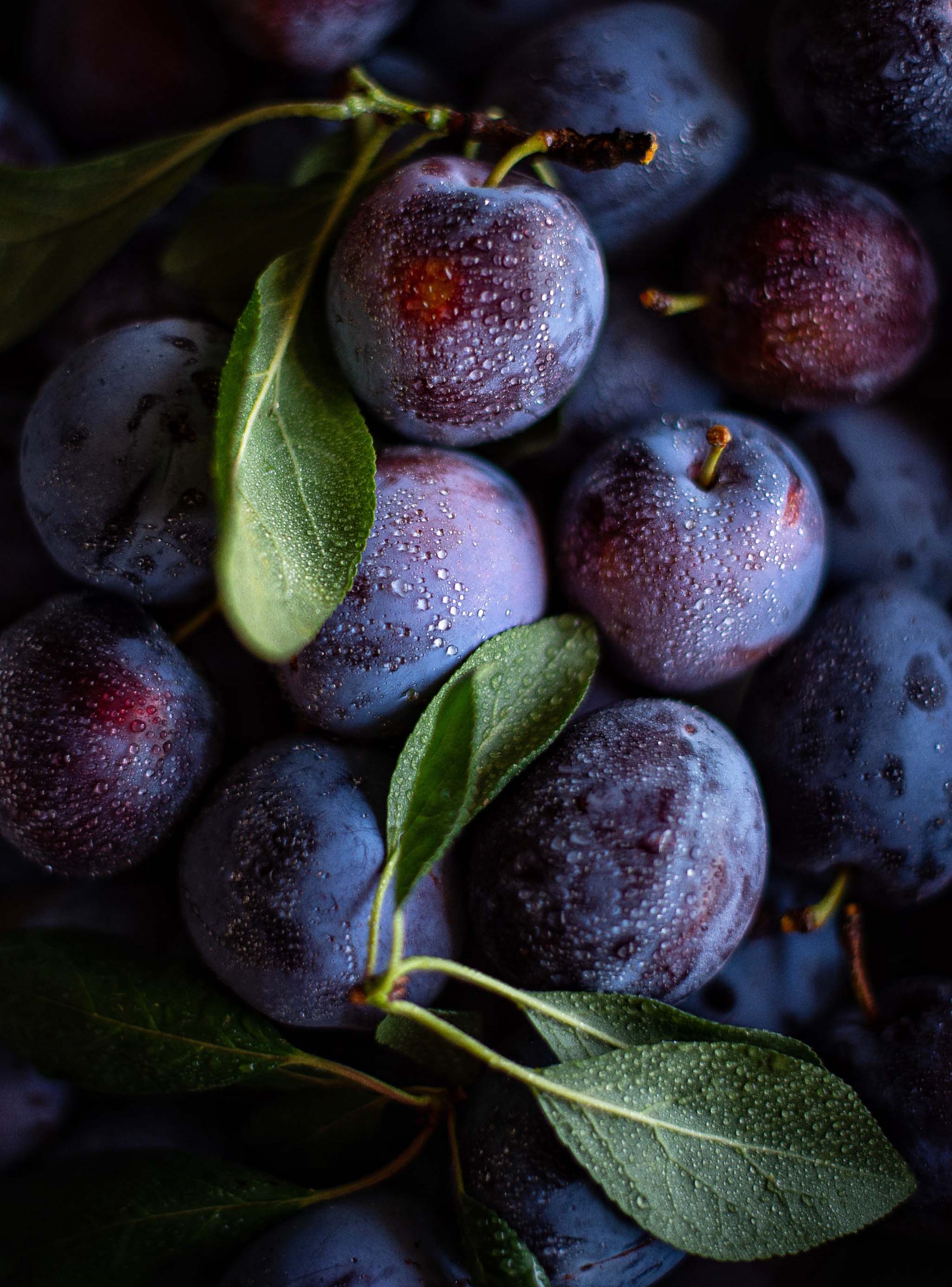 blue-purple plums